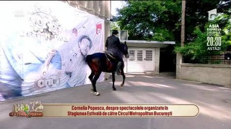 Circul Metropolitan București, spectacole de excepție în aer liber