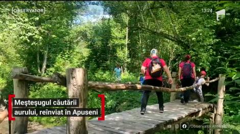 Meșteșugul căutării aurului, reînviat în Apuseni