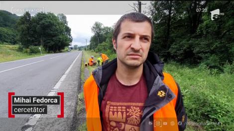 Gardul virtual, salvarea urșilor