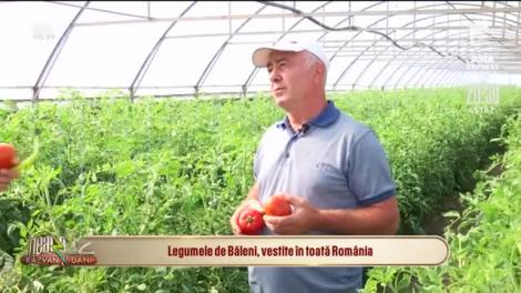 Legumele de Băleni, vestite în toată România