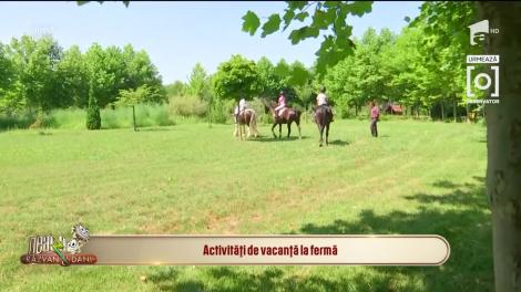Activități de vacanță la fermă