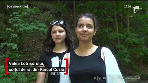 Valea Lotrişorului, colț de rai în Parcul Naţional Cozia