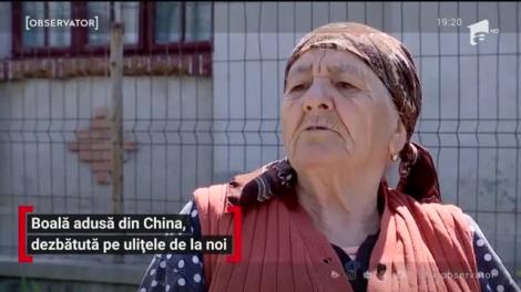 Boală adusă din China, dezbătută pe ulițele din România