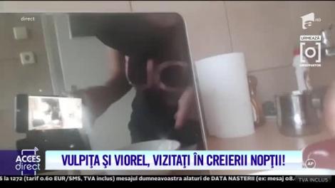 Vulpița Veronica, însărcinată? Viorel aruncă bomba: "O să vină și un bebe!" |Video