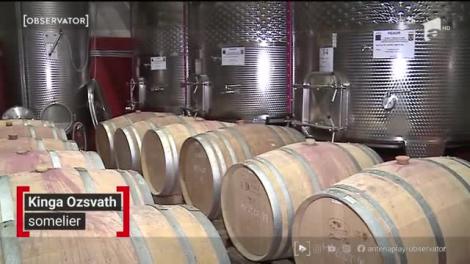 Un picnic la podgorie, relaxare în vremea pandemiei