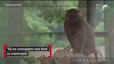 În cadrul campaniei "Să ne cunoaștem mai bine", Grădina Zoologică din Târgu Mureş organizează întâlniri între vizitatori şi animale