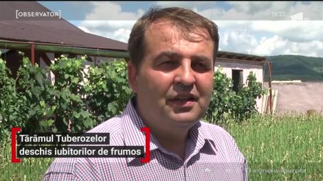 Tărâmul Tuberozelor, un loc de vis