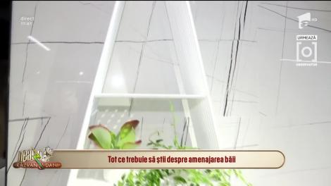 Idei de amenajări pentru băi