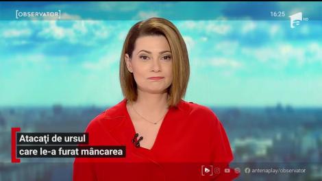 Atacați de ursul care le-a furat mâncarea