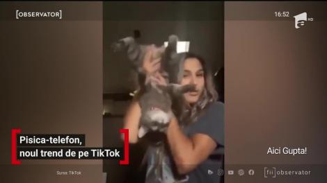 Pisica folosită de post de telefon, noul trend de pe Tick-Tok