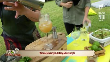 Vacanță la moșia de lângă București
