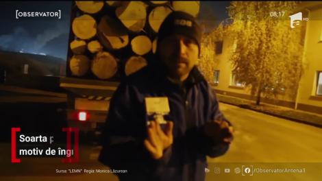 Soarta pădurilor din România, motiv de îngrijorare la Festivalul Internaţional de Film Transilvania