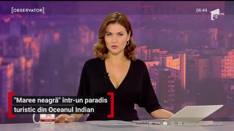 Insula Mauritius, amenințată  de tone de petrol