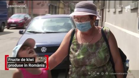 Fructe de kiwi produse în România