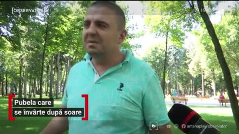 N-au locuri în spitale, dar au toalete publice cu buton de panică şi tomberoane de gunoi care costă cât o maşină. Ce investiţii s-au făcut în Iaşi în criză