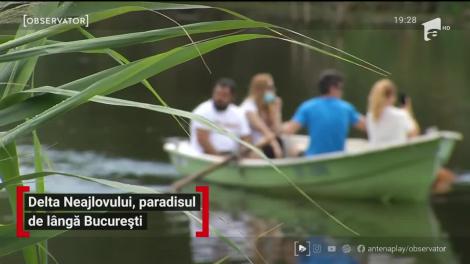 Delta Neajlovului, paradisul de lângă București