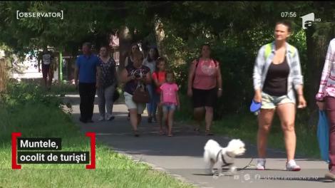 Poiana Braşov, ocolit de turiști