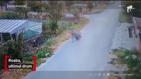 Un bărbat din Murfatlar a fost surprins în timp ce transporta un cadavru spre cimitir într-o roabă