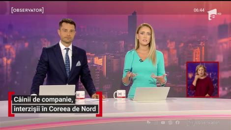 Câinii de companie, interzișii în Coreea de Nord