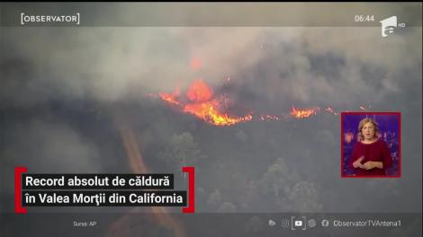 Record absolut de căldură în Valea Morții din California