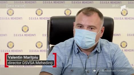 Pesta porcină loveşte din nou! Două ferme mari din judeţul Galaţi au rămas fără mii de animale