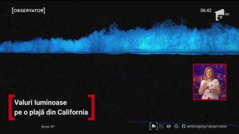 Valuri luminoase pe o plajă din California