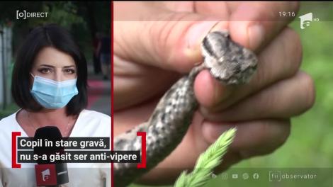 Fetiță de cinci, în stare gravă după ce a fost muşcată de o viperă. A primit serul antiviperin abia după câteva ore