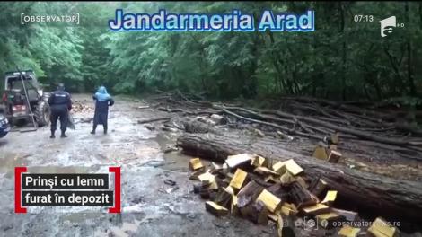 Prinși cu lemn furat în depozit