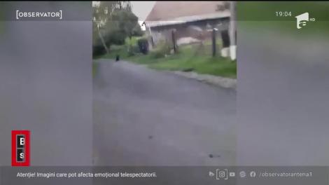 Femeie  bătută cu bâta şi pumnii pentru că a luat apărarea propriului copil