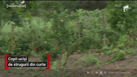 Doi copii din Iași au fost uciși de strugurii din curte