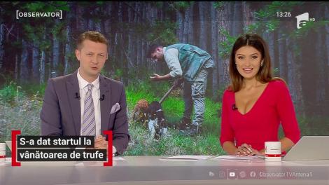 Start la vânătoarea de trufe, în localitatea Achita din judeţul Mureş