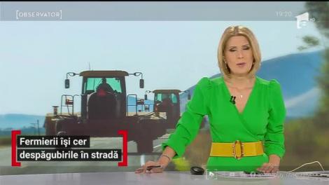 Fermierii își cer despăgubirile în stradă