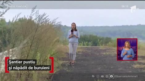 Șantier pustiu și năpădit de buruieni în Târgu Jiu. Centura de nici 20 de kilometri ar fi trebuit să fie gata de patru ani