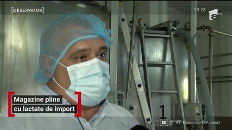Suntem în topul europenilor la producţia de lapte, dar pe rafturile magazinelor găsim brânză, caşcaval şi iaurt numai de import