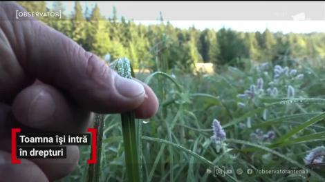 În judeţul Harghita au apărut primele semne de toamnă. Frigul s-a materializat şi în brumă!