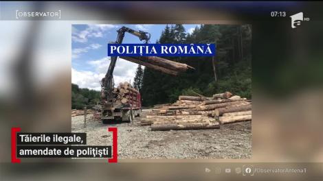 Tăierile ilegale de lemn, amendate de polițiști