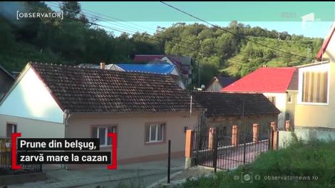 Țuica de prune îi ţine sănătoşi şi energici pe localnicii din Banat