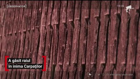 Realizatorul celebrului documentar "Wild Charpatia" şi-a cumpărat o casă într-un sat pitoresc din Braşov