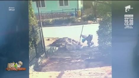 Râzi cu lacrimi. Un cetățean turmentat face senzație cu lopata în mână | VIDEO