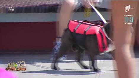 Dorian Popa se reprofilează! Artistul a devenit bodyguardul Ramonei, în cea mai nouă provocare de la Neatza