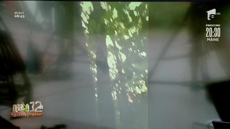 Smiley News: Un ursuleț, prins în pădure că nu purta mască