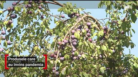 Produsele care au învins pandemia