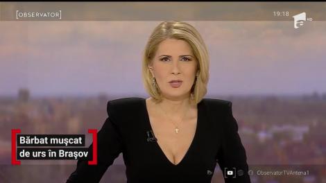 Bărbat mușcat de urs în Brașov