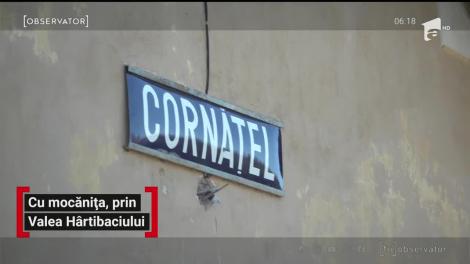 Cu mocănița, prin Valea Hârtibaciului, una dintre cele mai frumoase zone din Sibiu