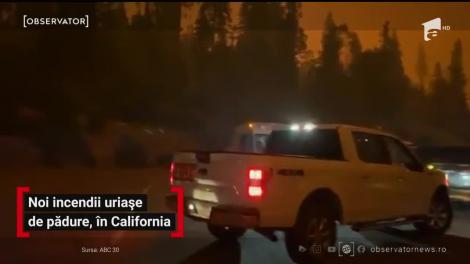 Noi incendii uriașe de pădure, în California