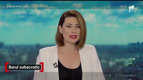 Berăria subacvatică de la Dalnic atrage tot mai mulți turiști