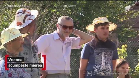 Vremea scumpește mierea