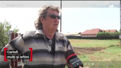 Cartofi mulți și ieftini. Nici în supermaketuri nu mai sunt la fel de căutaţi