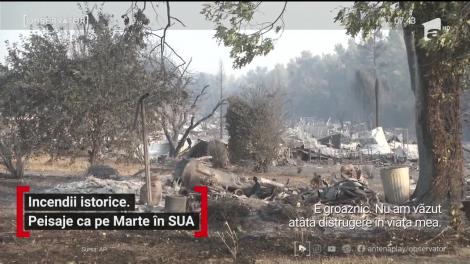 Incendiile de vegetaţie au devastat Coasta de Vest a Statelor Unite