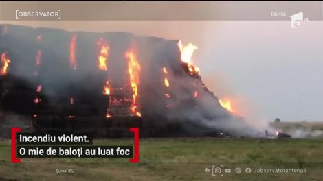 Un incendiu puternic la câţiva kilometri de Arad